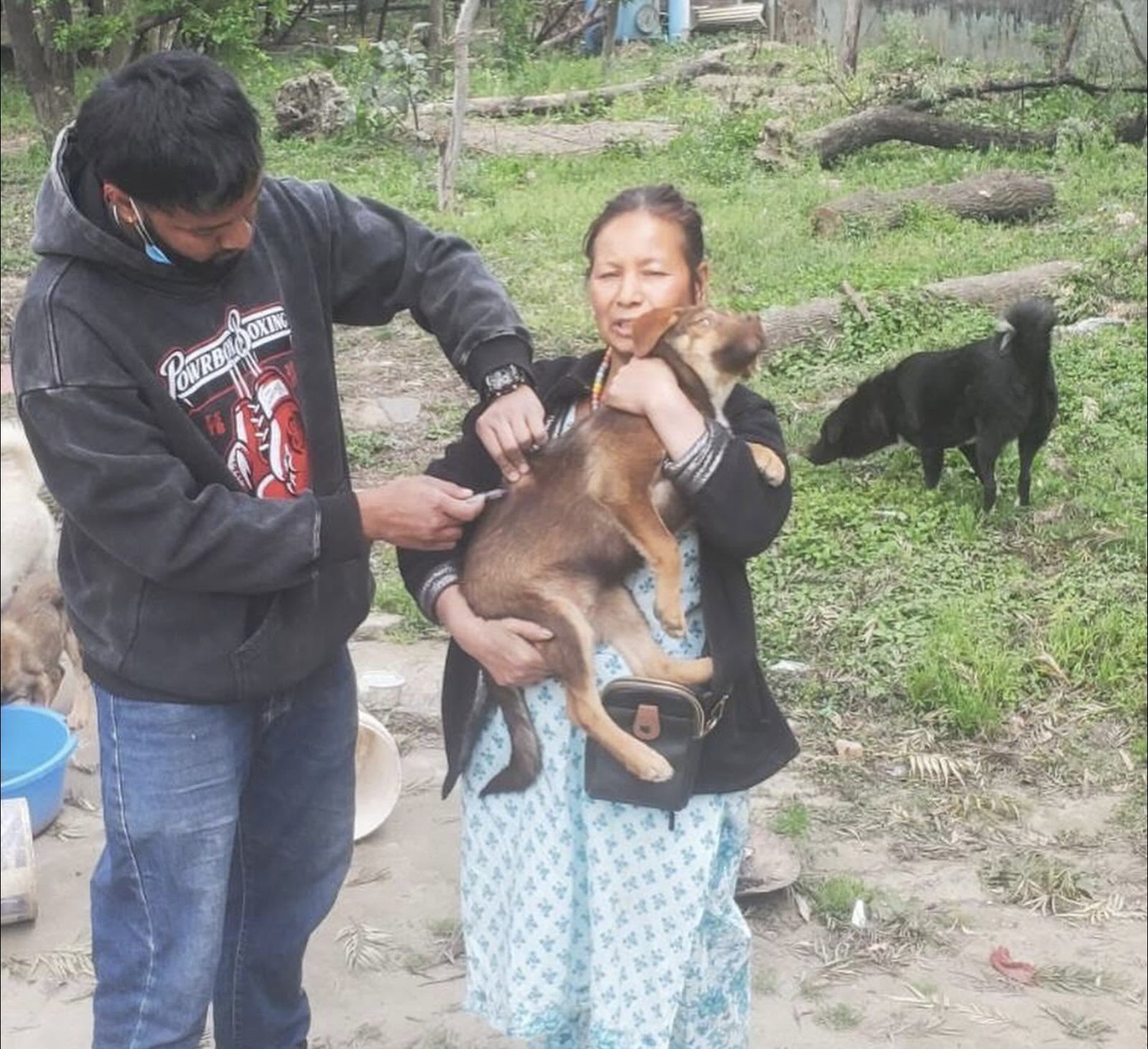 Vaccinating a community dog