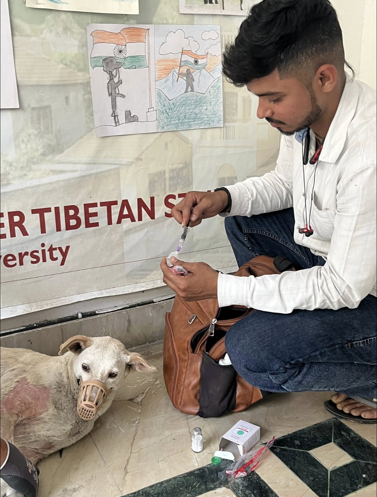Vaccinating a dog on campus