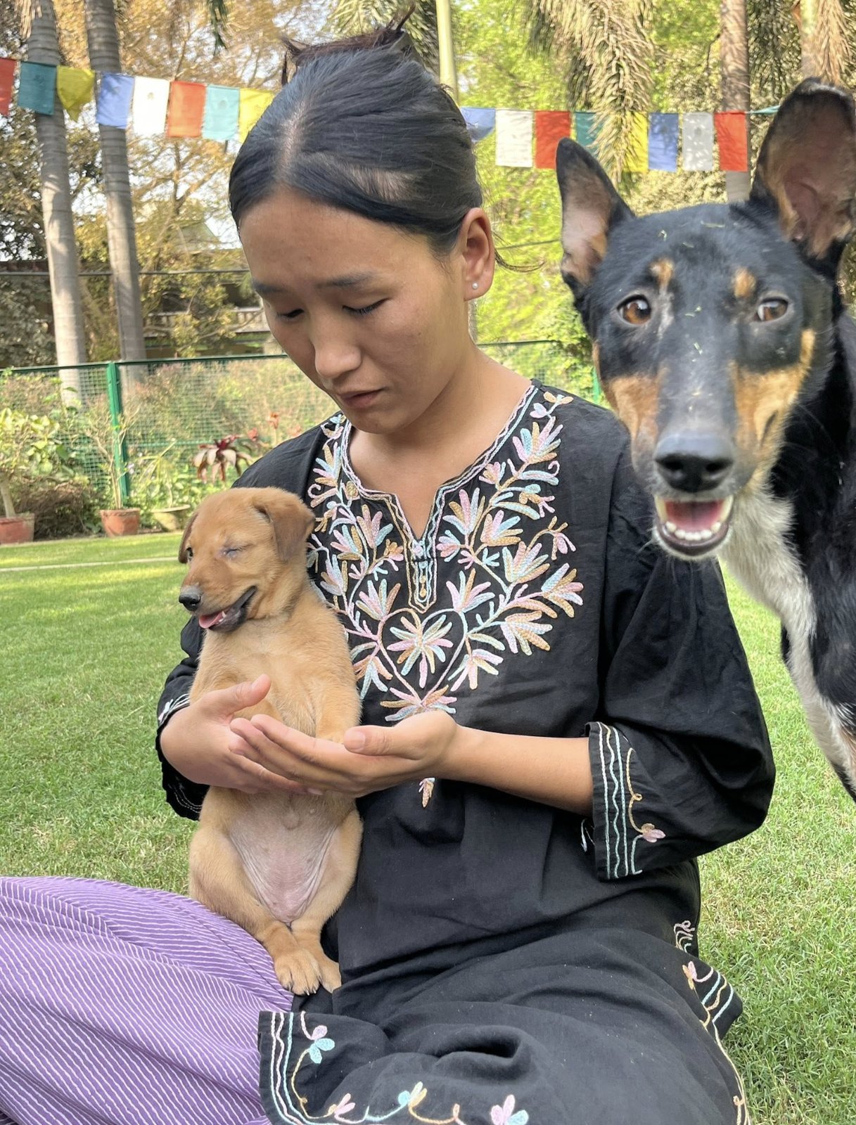 A volunteer with a puppy and campus dog
